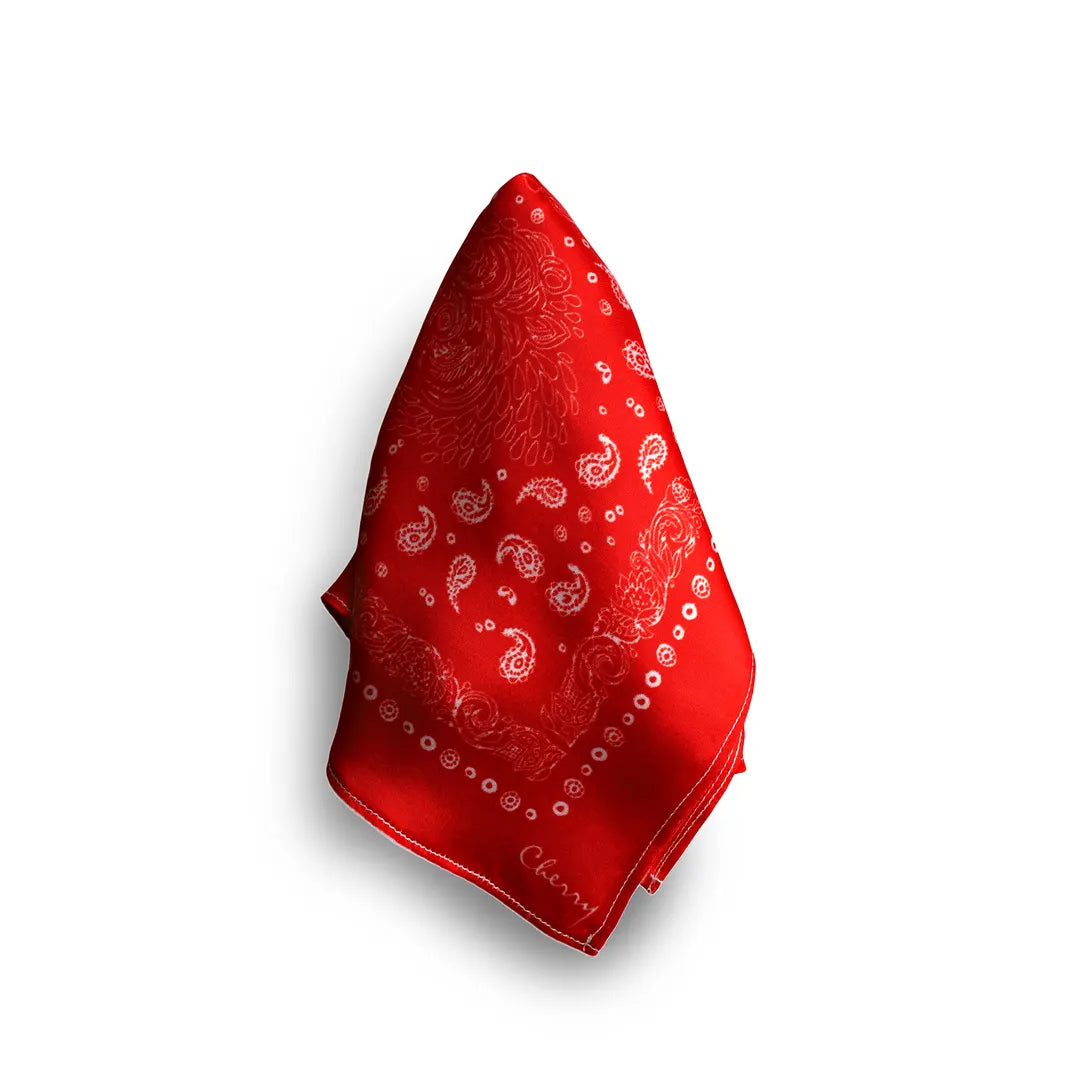 Pocket Square-Ps90