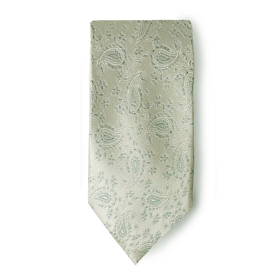 Tie Set-Ts-458